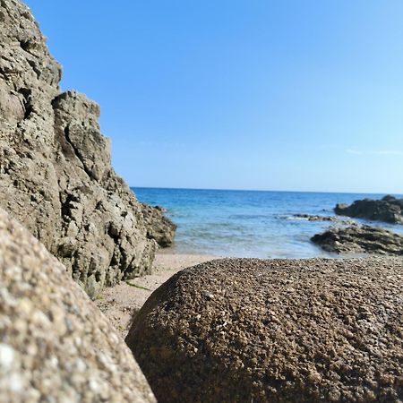 La Suite Appartement Pleine Vue Mer Concarneau Kültér fotó